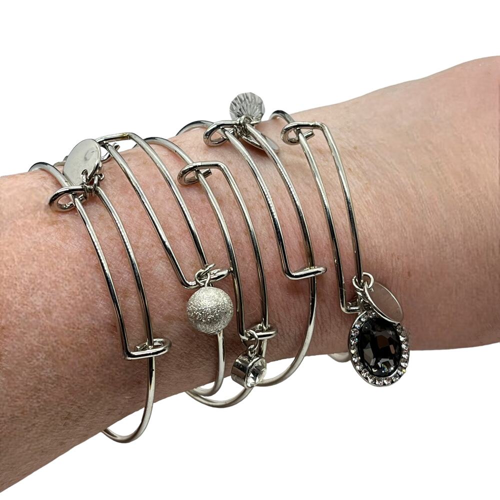 Christopher and Banks Bracelet Set Women's Silver Tone Five with Charms In Box